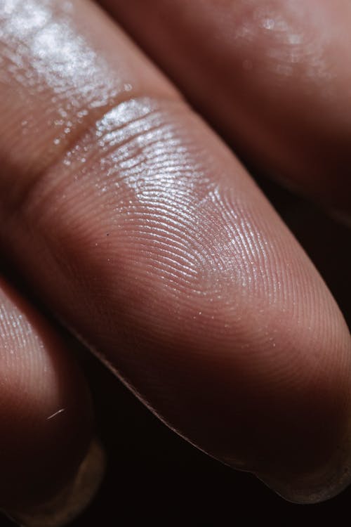 Macro close-up of a human fingerprint — representing ISO 27001 identity and access controls.
